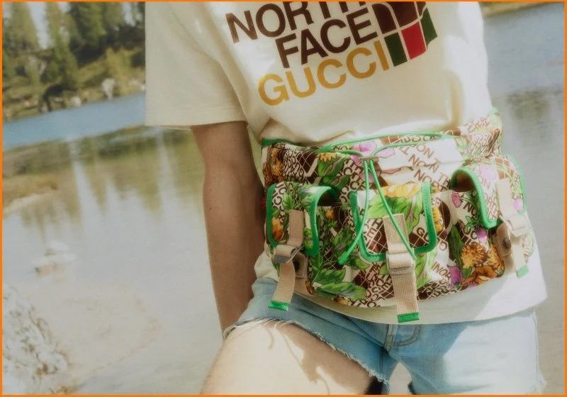 GUCCI X The North Face Lands Camp Happy Colors, Patterns